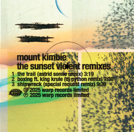 Shipwreck - Mount Kimbie (Special Request Remix)