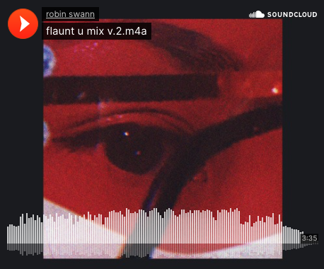 Flaunt You - Robin Swann