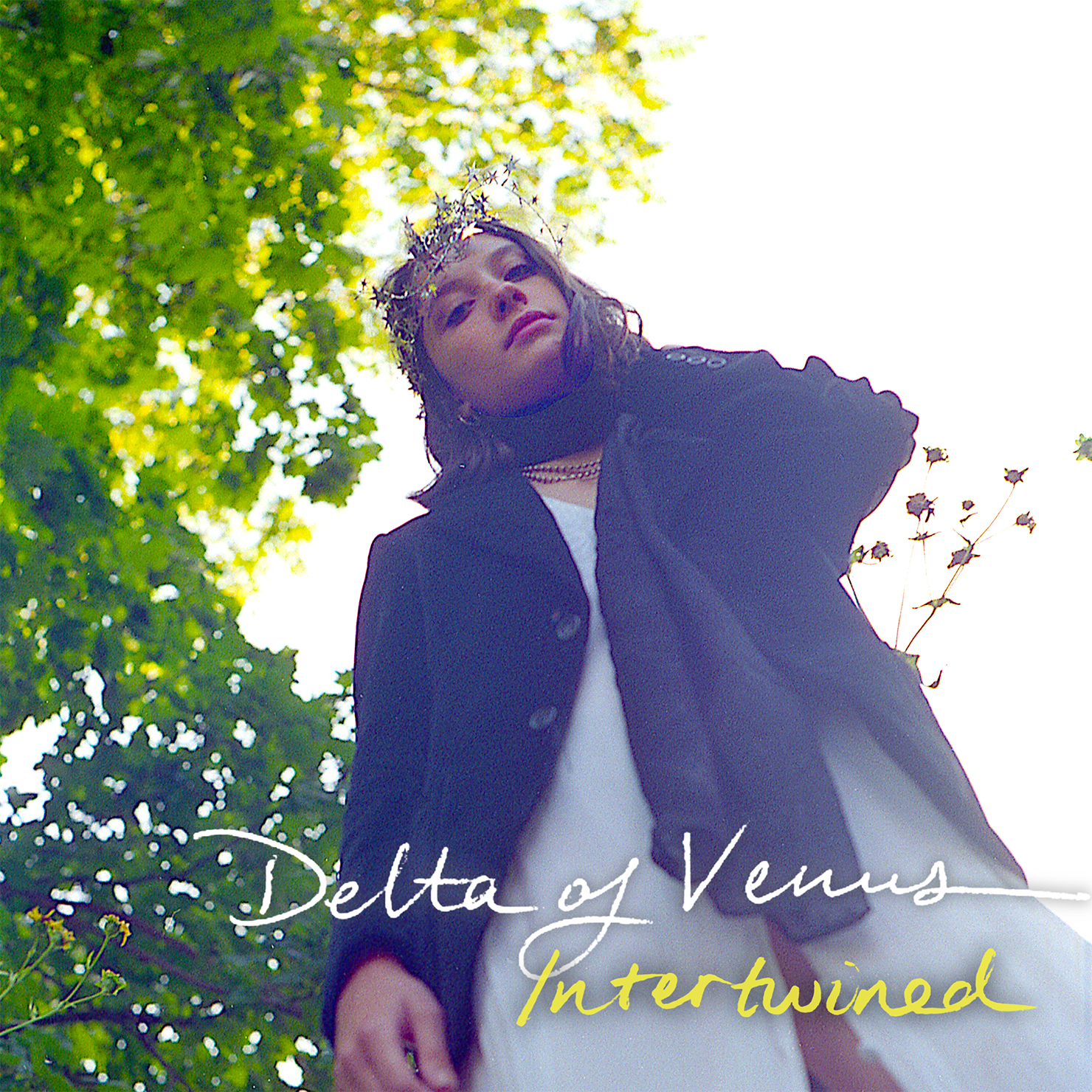 Intertwined - Delta of Venus