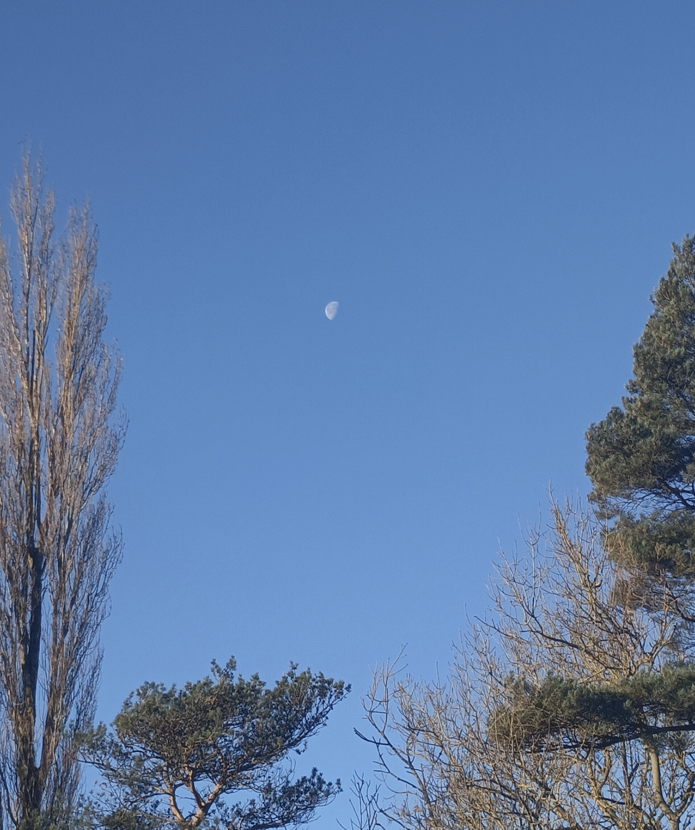 The Moon of Manakoora - Atmosphere