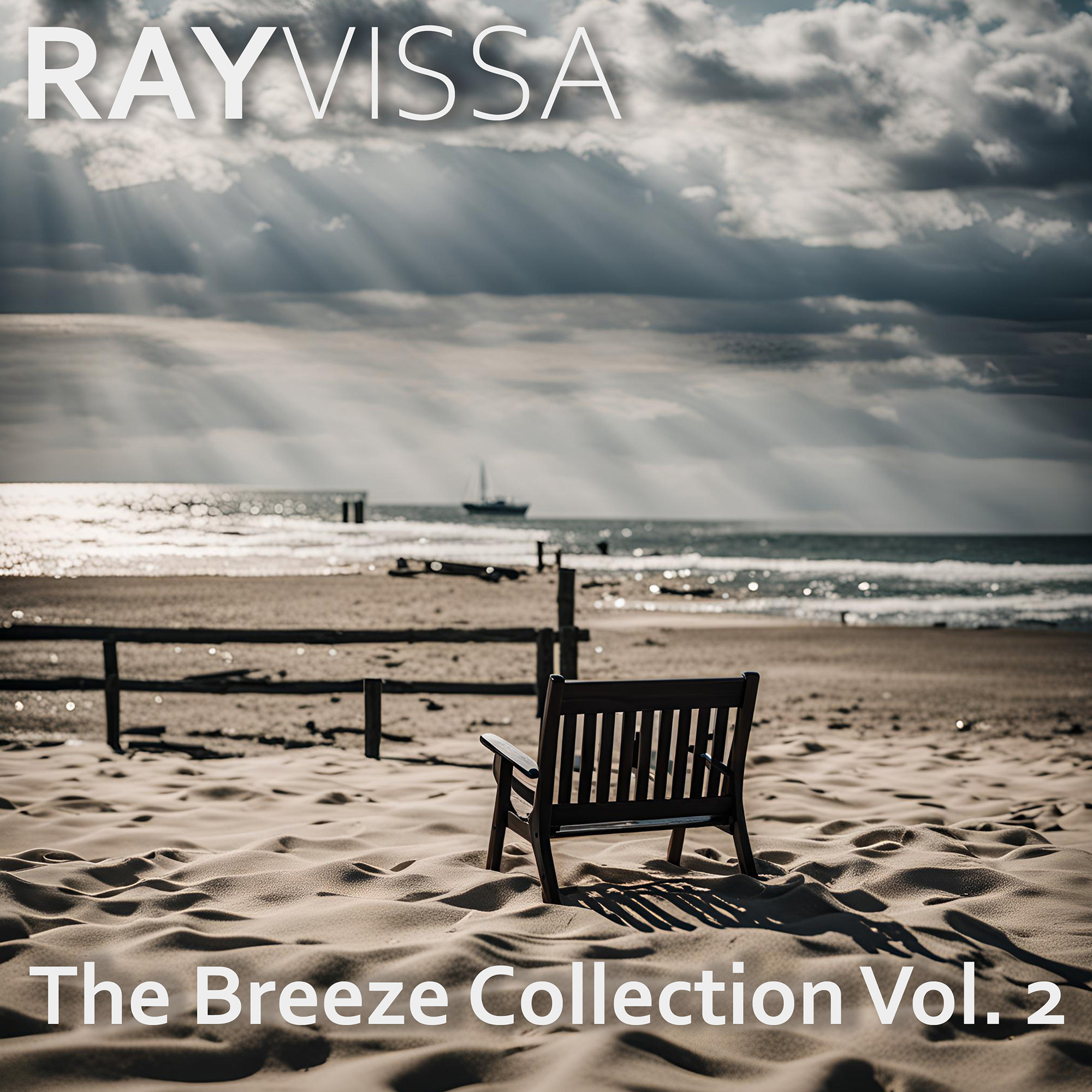 Chasing shadows - Ray Vissa