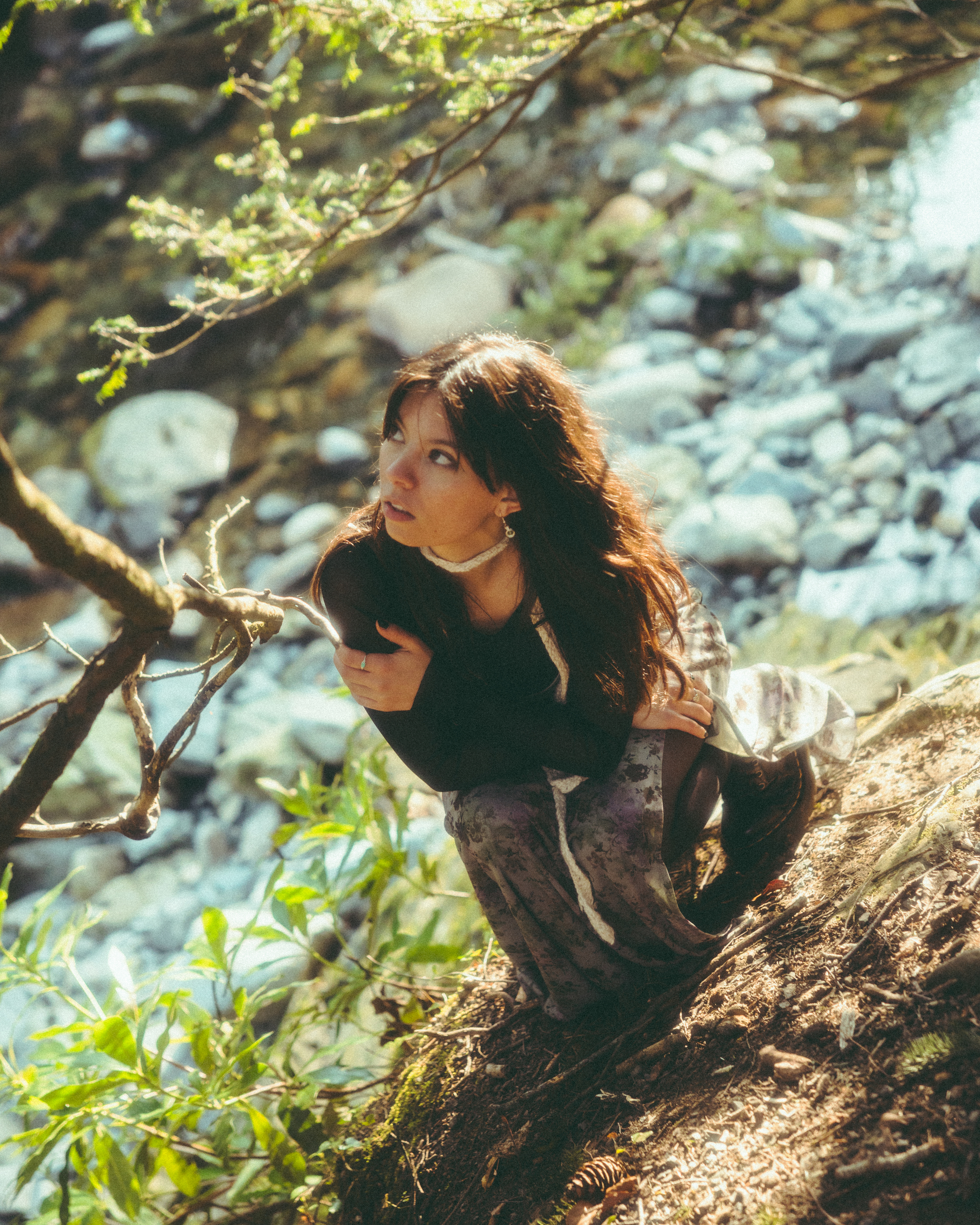 Fairies - DIMILA