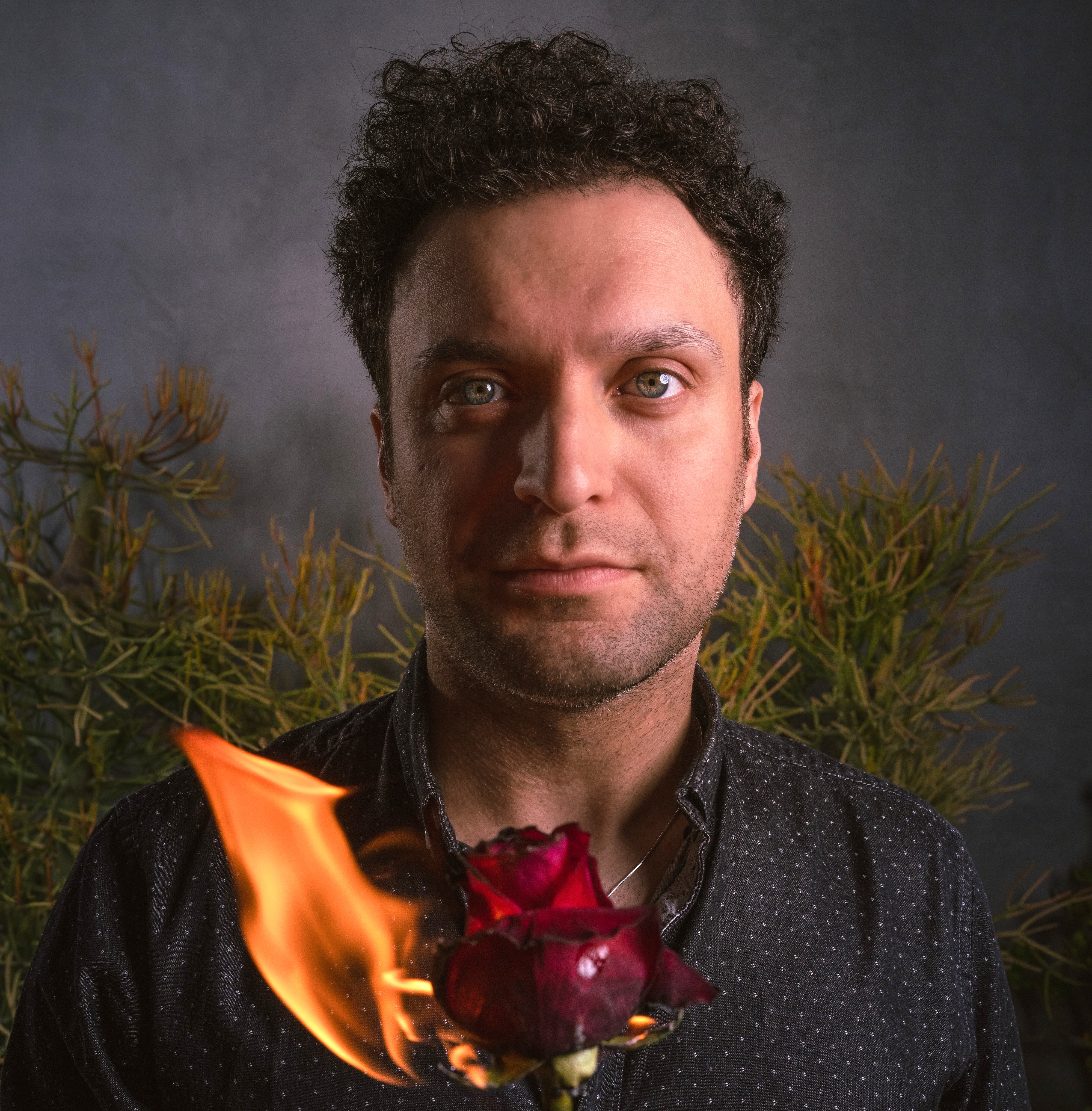 JAMIE ALIMORAD LETS LOVE BURN INTO LIGHT
