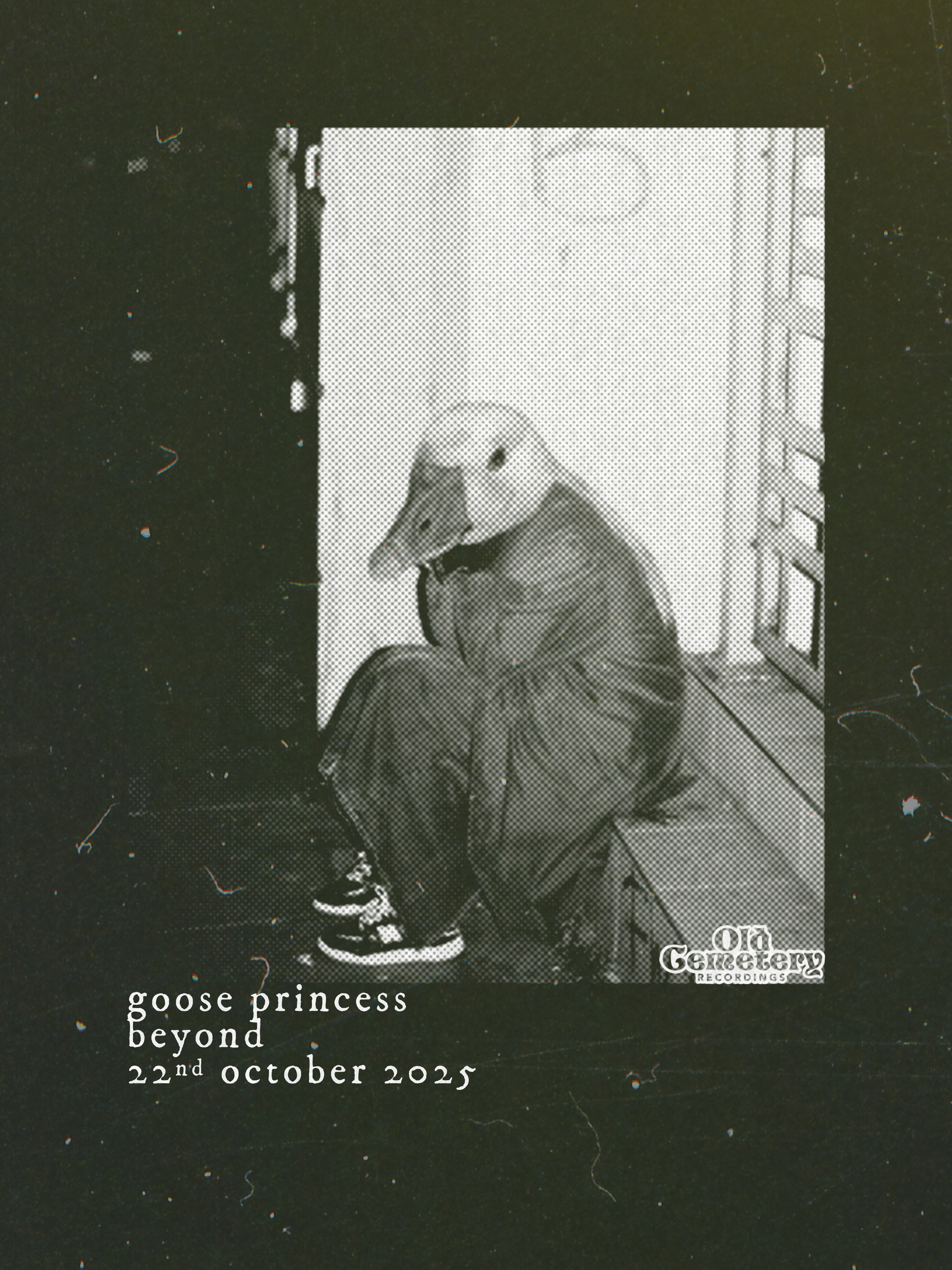 GOOSE PRINCESS TAKES US BEYOND THE DARKNESS