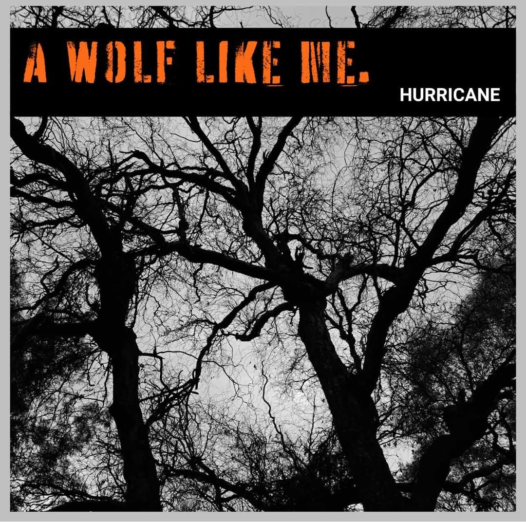 A WOLF LIKE ME CELEBRATES LIFELONG CONNECTIONS