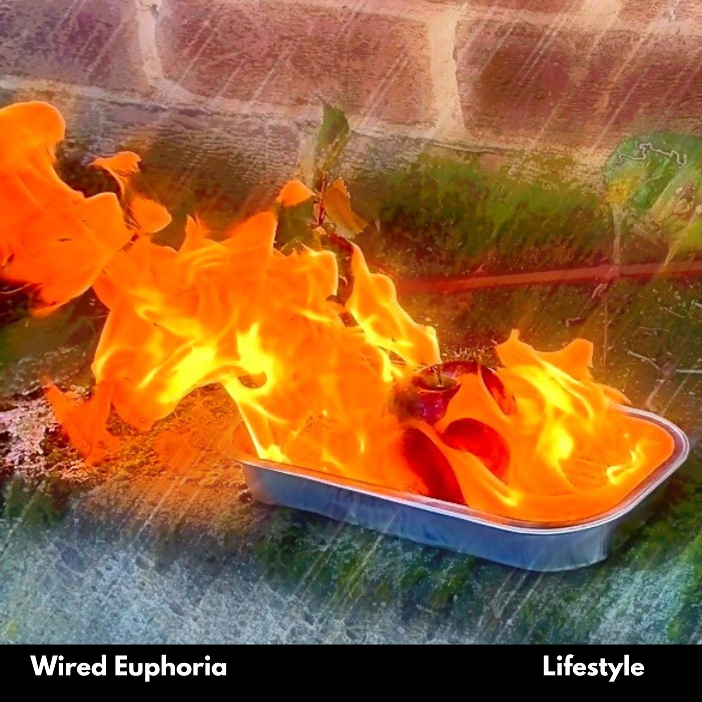 WIRED EUPHORIA’S LIFESTYLE HITS HARD