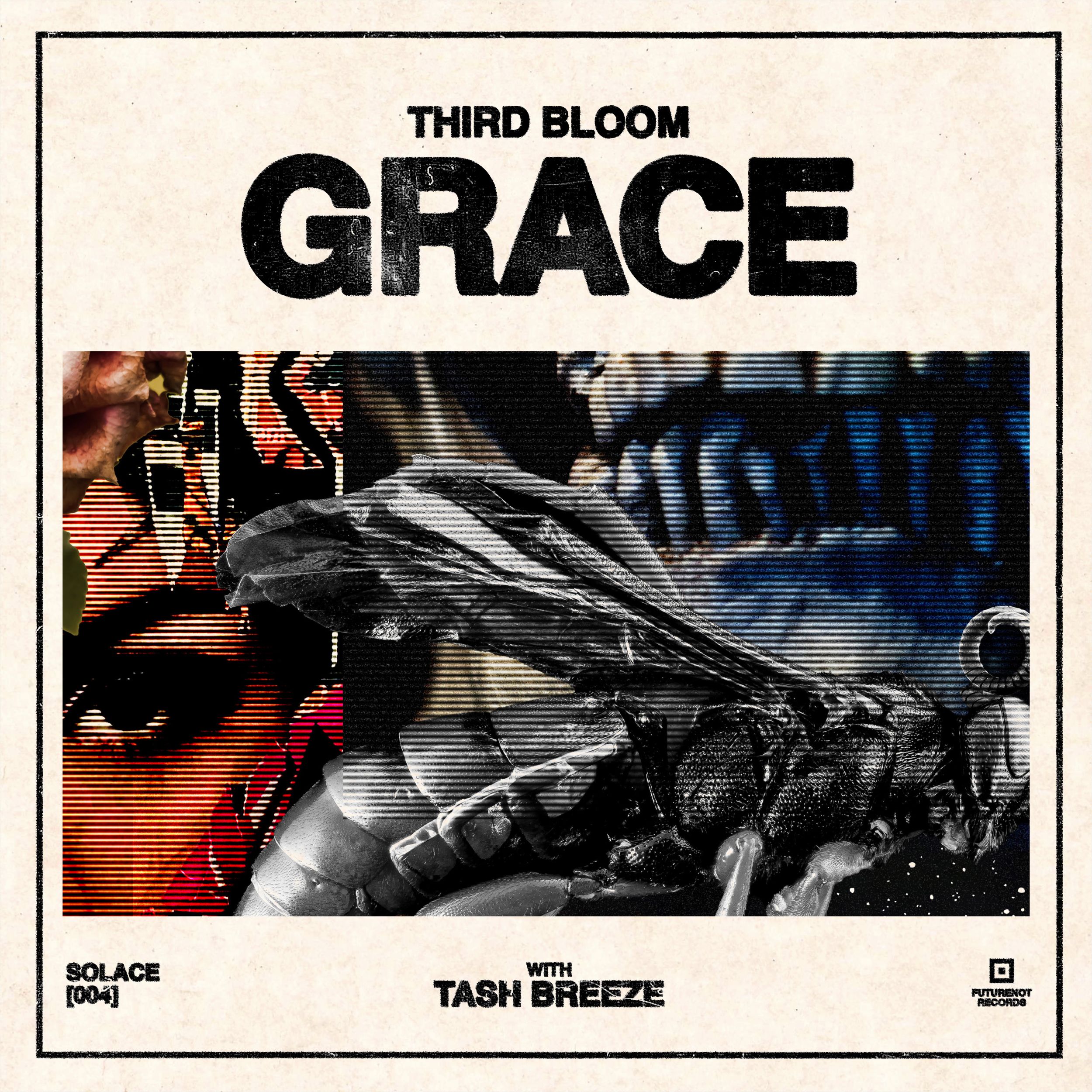 THIRD BLOOM PUSHES LIMITS ON GRACE