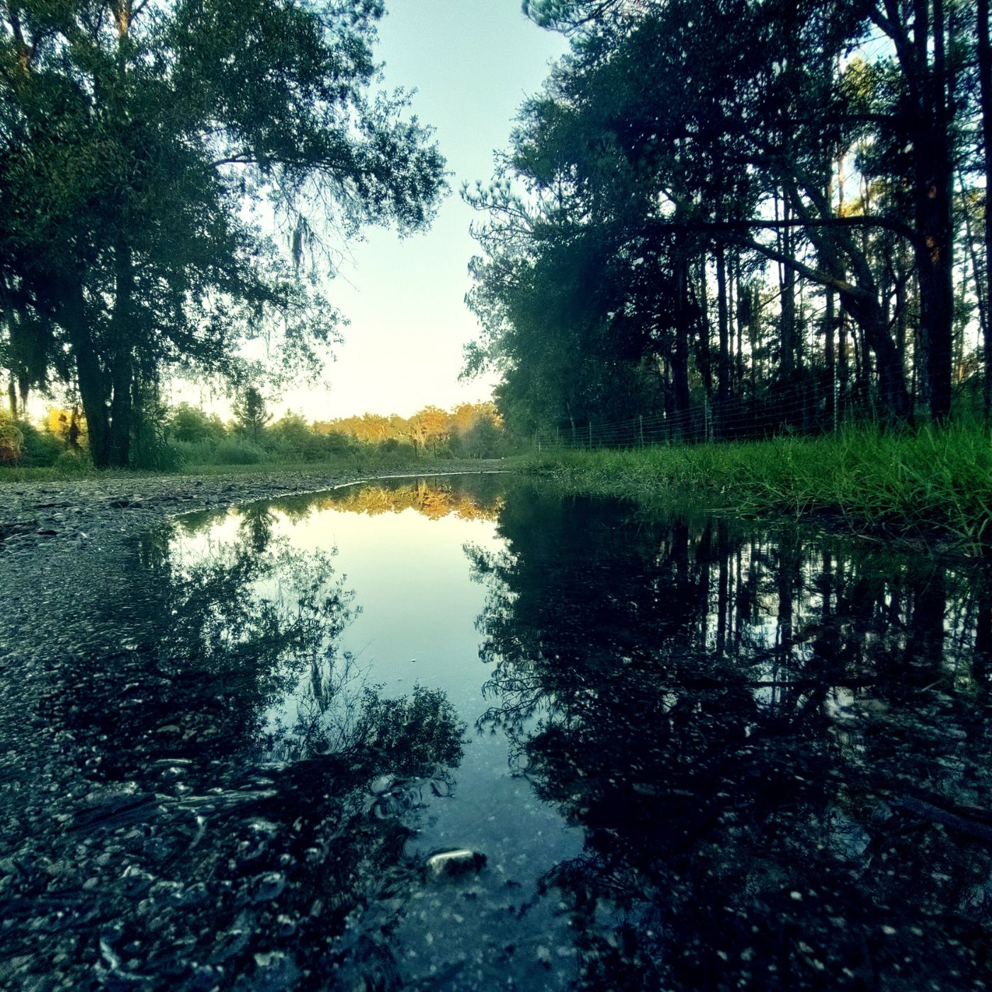 Water Fire Music