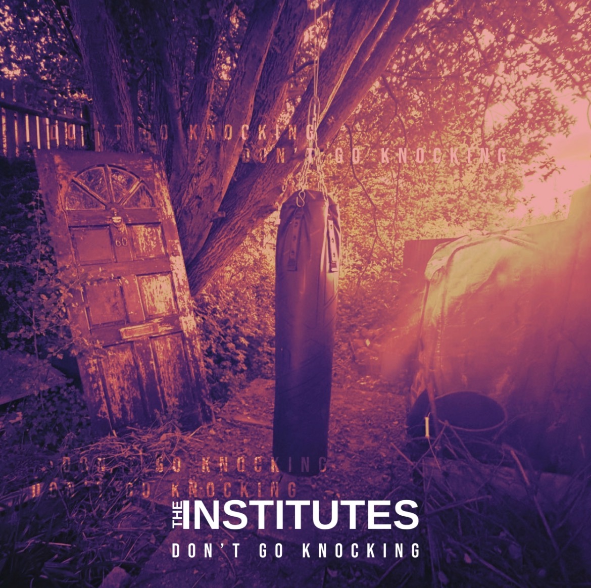 The Institutes